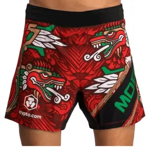 2025 New Men’s Quick-Drying UFC Fitness Shorts – Breathable, Comfortable, Sweat-Absorbing Boxing & Fighting Shorts