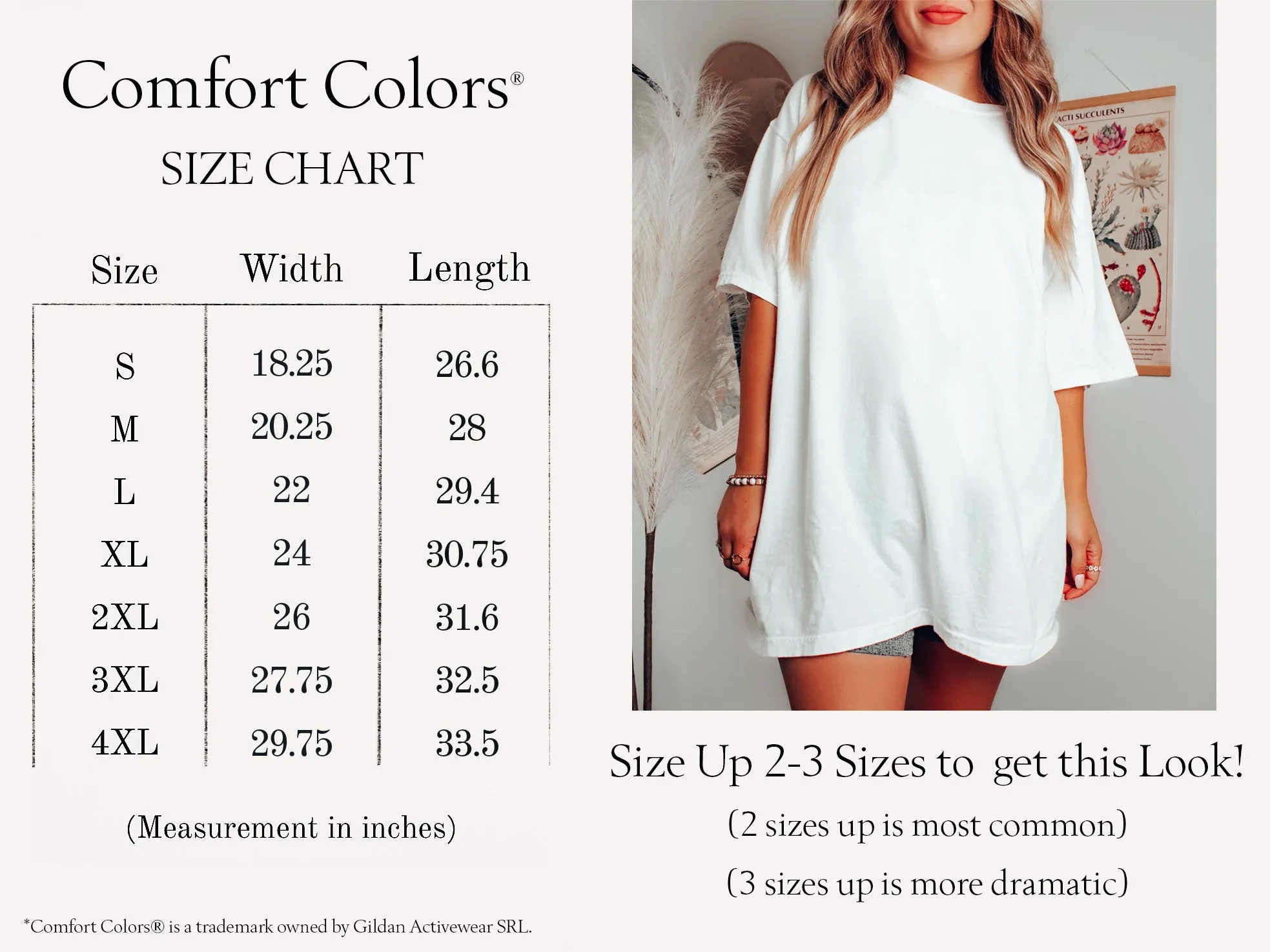 Giant Sun and Moon Comfort Colors® Tshirt