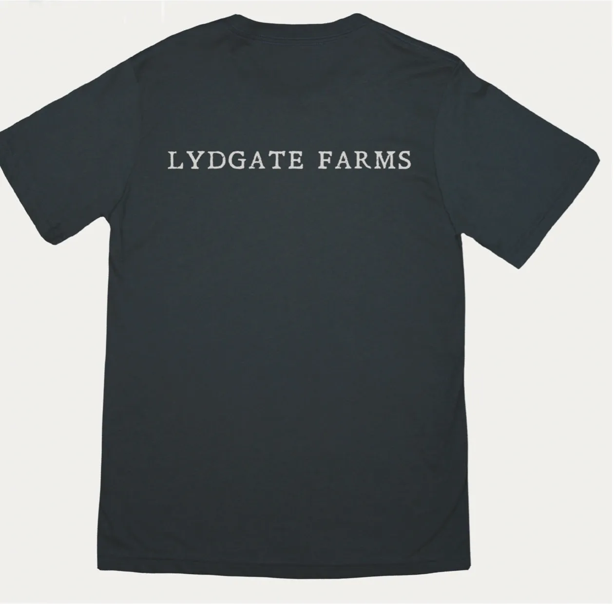 Men's/Unisex T-Shirts (Grey)